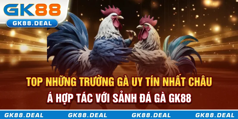 Top những trường gà uy tín nhất châu Á hợp tác với sảnh đá gà GK88